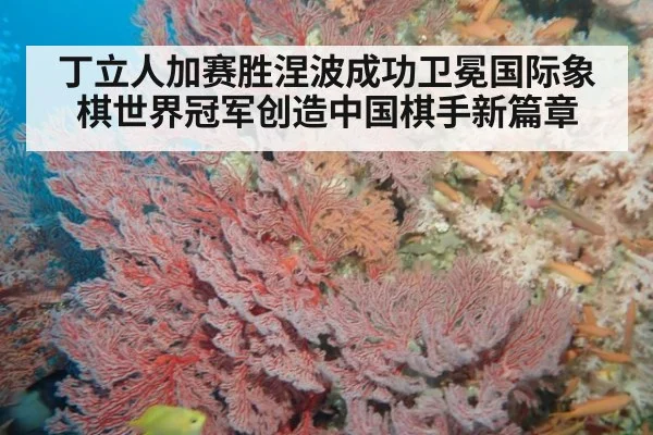丁立人加赛胜涅波成功卫冕国际象棋世界冠军创造中国棋手新篇章